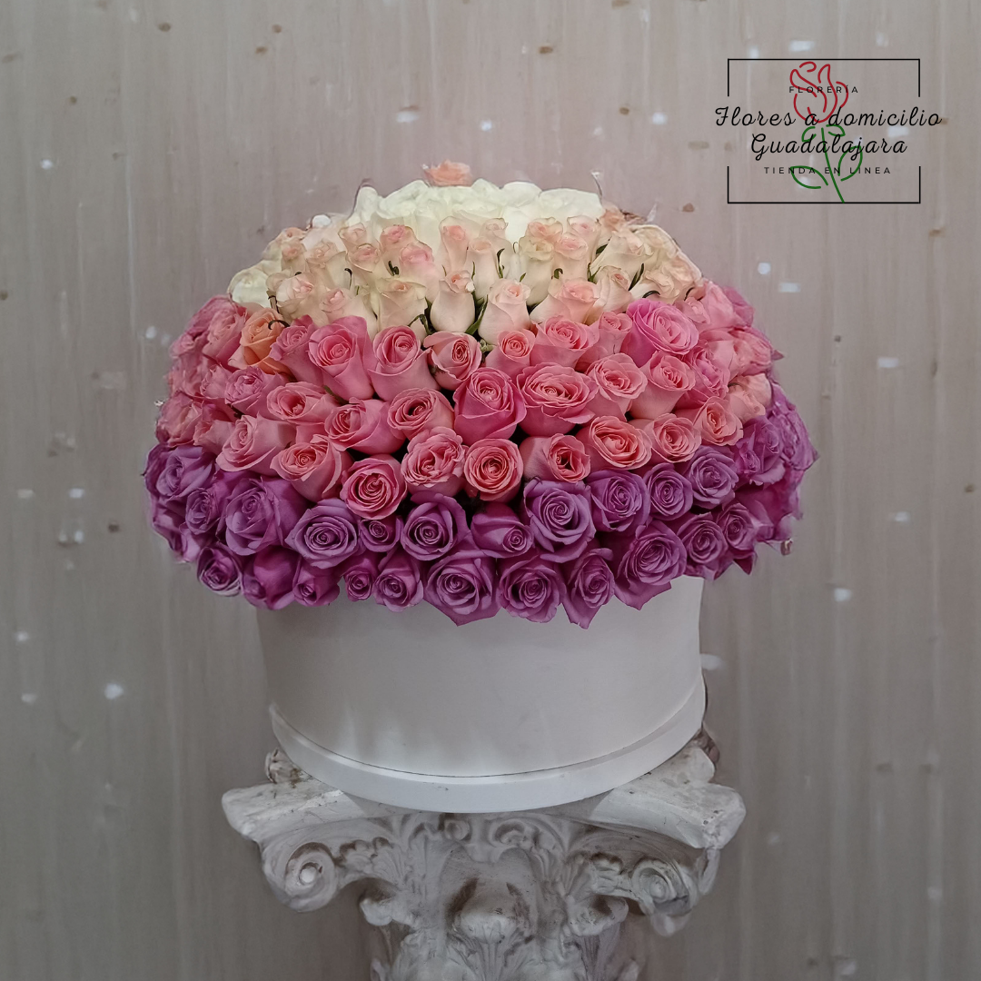 Caja Blanca con 350 Rosas en Degradado