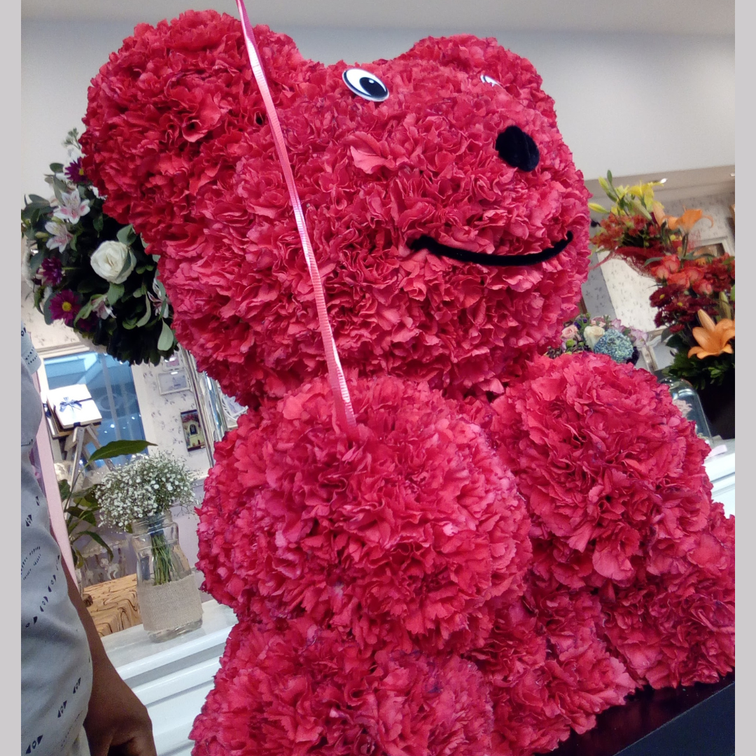Oso de Claveles Rojos – 60 cm