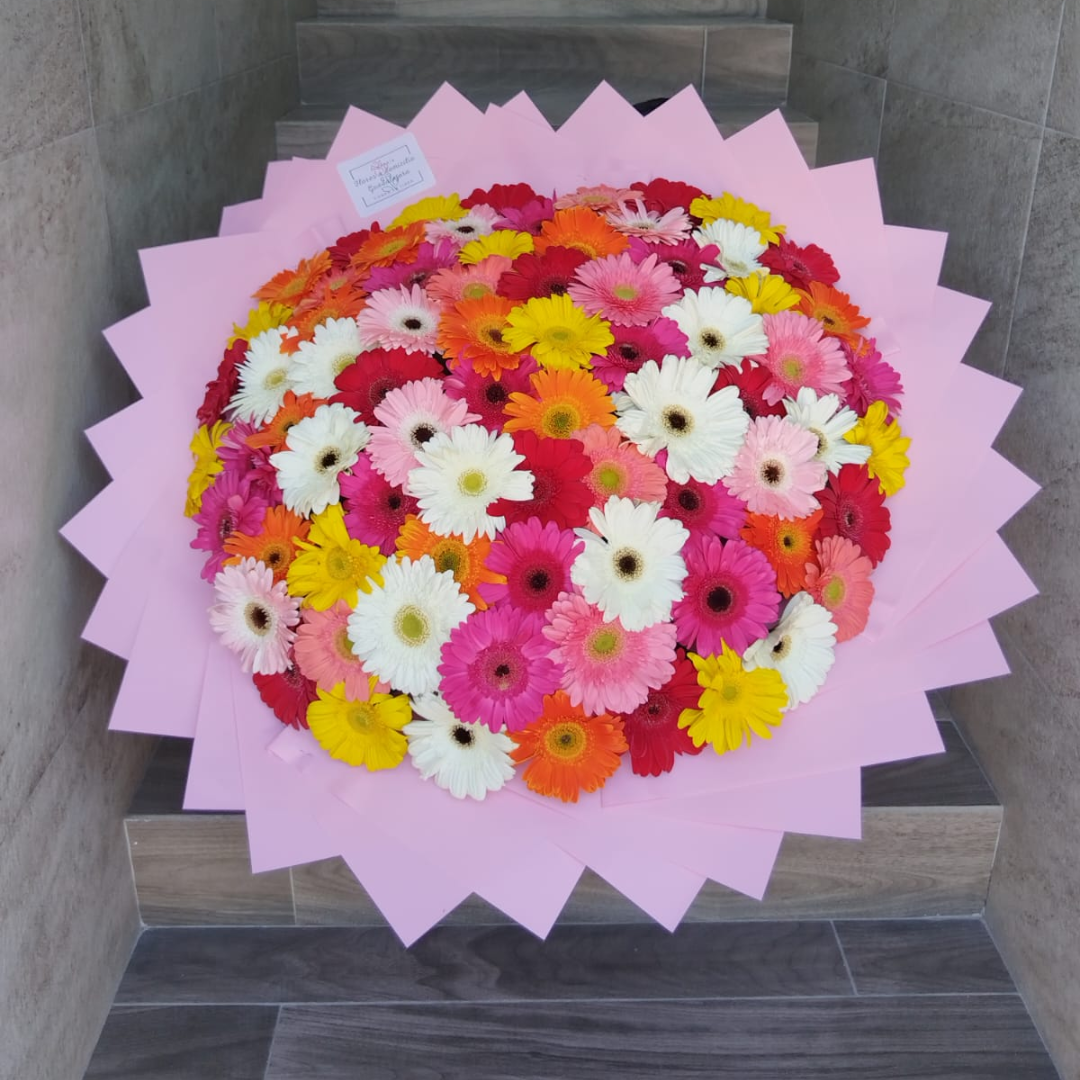 Ramo de Gerberas