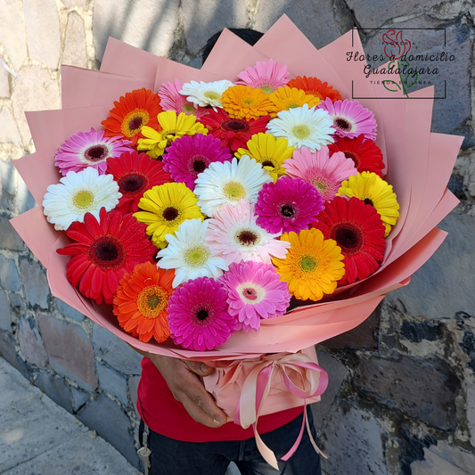 Ramo de 30 Gerberas