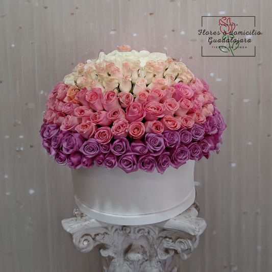 Caja Blanca con 350 Rosas en Degradado